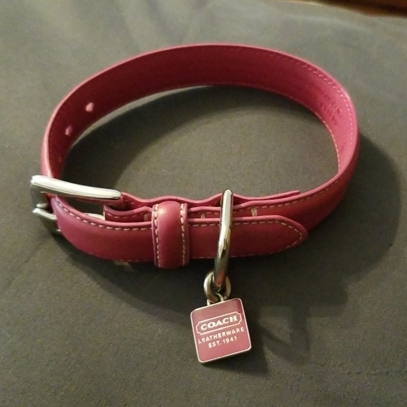 coach cat collar